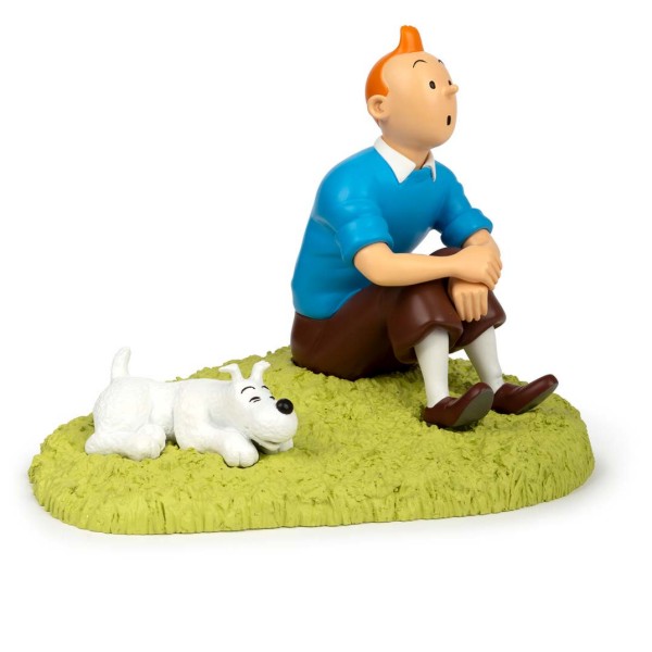 Tintin assis dans l'herbe